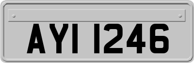 AYI1246