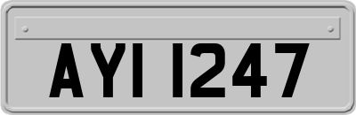 AYI1247
