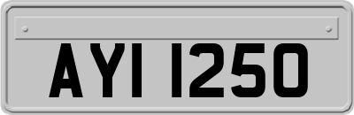 AYI1250