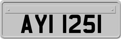 AYI1251