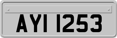 AYI1253