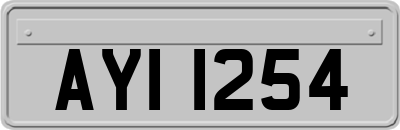 AYI1254