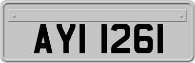 AYI1261