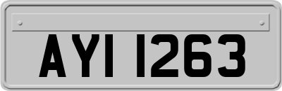 AYI1263