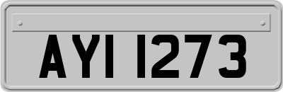 AYI1273
