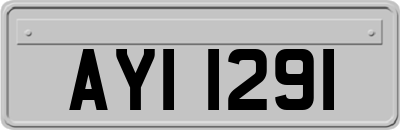 AYI1291