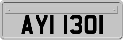 AYI1301