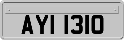 AYI1310