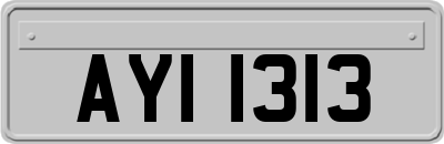 AYI1313