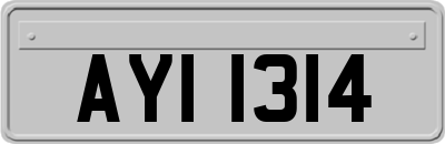 AYI1314