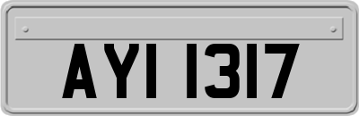 AYI1317