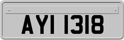 AYI1318