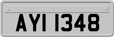 AYI1348