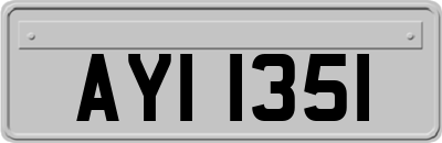AYI1351