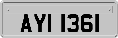 AYI1361