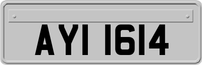 AYI1614