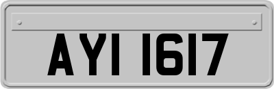 AYI1617