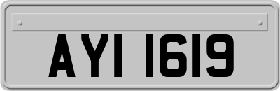 AYI1619