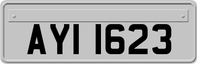AYI1623