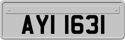 AYI1631