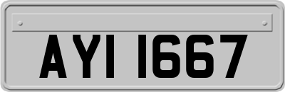 AYI1667