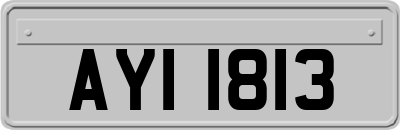AYI1813