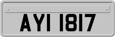 AYI1817