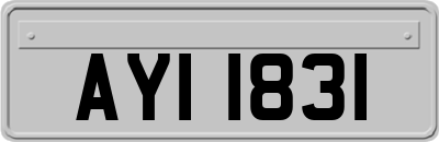 AYI1831