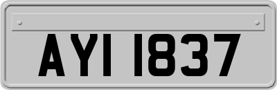 AYI1837