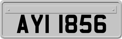 AYI1856