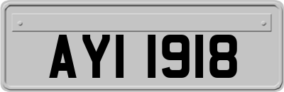 AYI1918