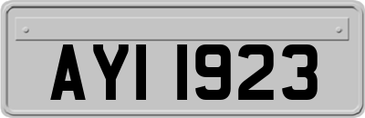 AYI1923