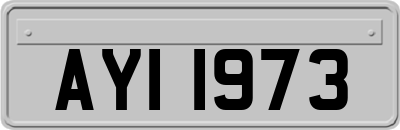 AYI1973