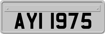 AYI1975