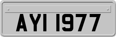 AYI1977