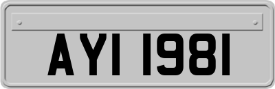AYI1981