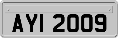 AYI2009