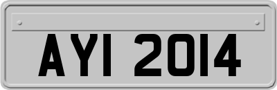 AYI2014