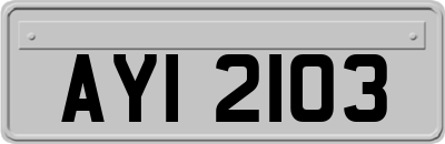 AYI2103