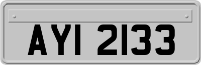 AYI2133