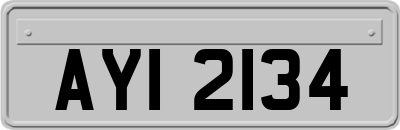 AYI2134