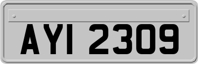 AYI2309