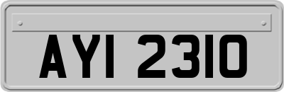 AYI2310