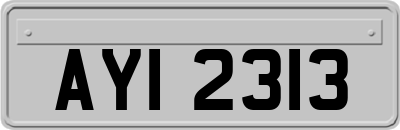 AYI2313