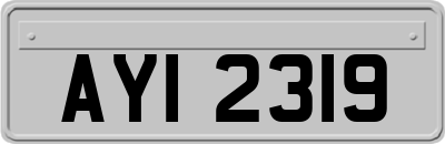 AYI2319