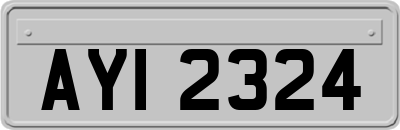 AYI2324