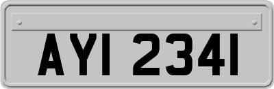 AYI2341