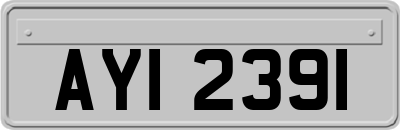 AYI2391