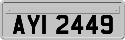 AYI2449