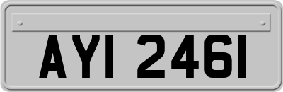 AYI2461